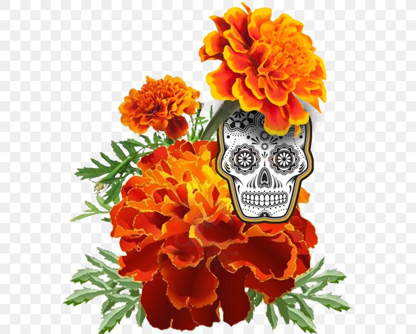 Day Of The Dead Skull, PNG, 577x659px, Mexican Marigold, Bouquet, Calavera, Carnation, Cut Flowers Download Free