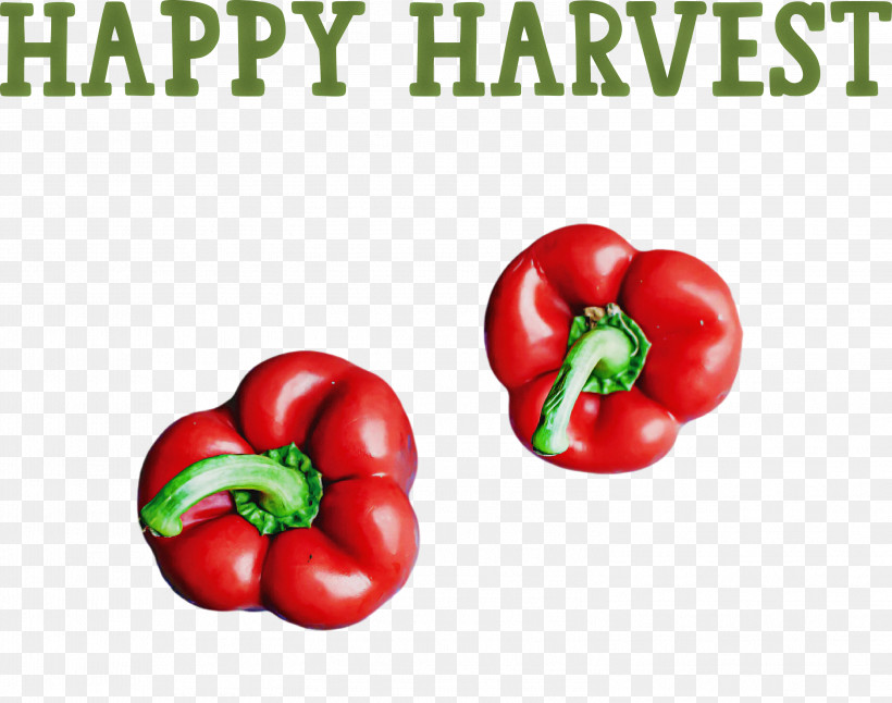 Happy Harvest Harvest Time, PNG, 2999x2366px, Happy Harvest, Bell Pepper, Birds Eye Chili, Black Pepper, Cayenne Pepper Download Free