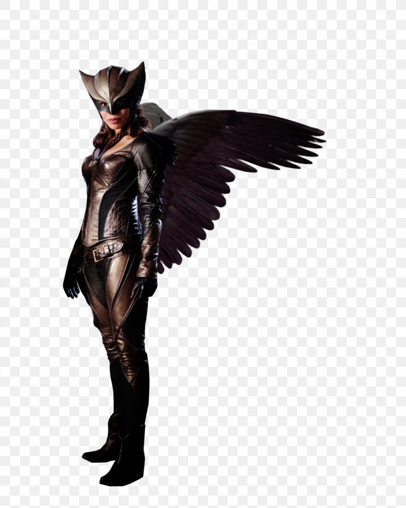 Hawkgirl Hawkman (Katar Hol) Hawkman (Carter Hall) Black Canary, PNG, 1024x1280px, Hawkgirl, Black Canary, Captain Marvel, Costume, Costume Design Download Free