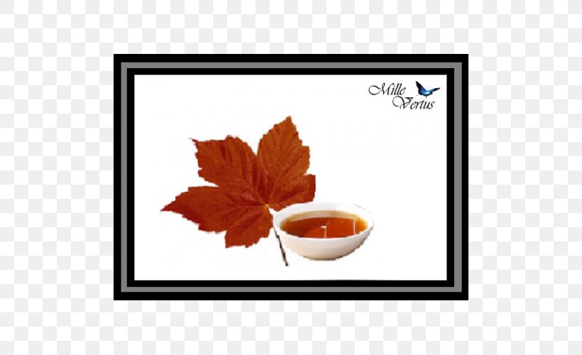 Maple Syrup Juice Sports & Energy Drinks, PNG, 500x500px, Maple Syrup, Cooking, Cup, Drink, Energy Drink Download Free