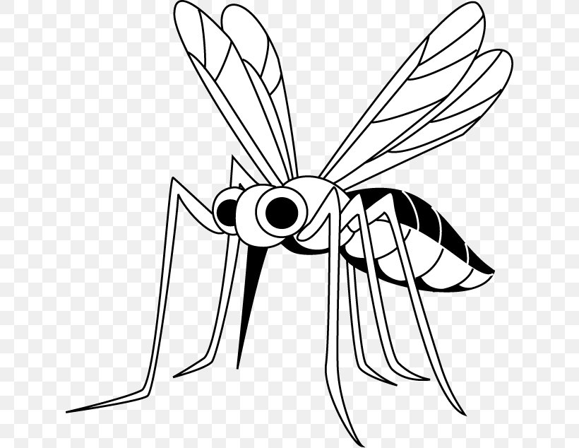 Mosquito Insect Illustration Filariasis 幼虫, PNG, 634x634px, Mosquito, Area, Arthropod, Artwork, Black Download Free