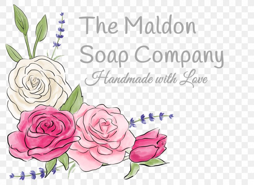Garden Roses Cabbage Rose Soap Almond Oil Ingredient, PNG, 880x643px, Garden Roses, Almond Oil, Art, Cabbage Rose, Calligraphy Download Free
