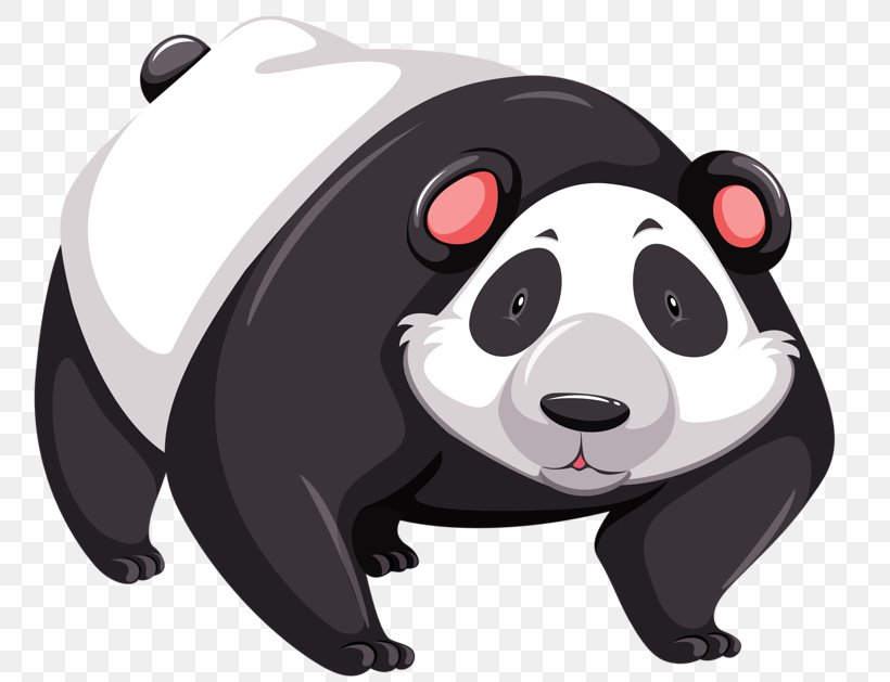 Giant Panda Royalty-free Drawing Illustration, PNG, 800x629px, Giant Panda, Bamboo, Bear, Carnivoran, Cartoon Download Free
