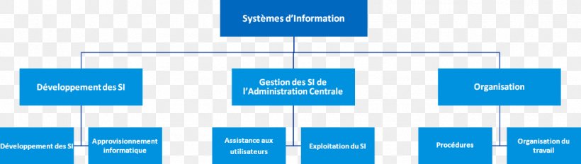 Organizational Chart Information System Chief Information Officer, PNG, 982x278px, Organization, Agriculture, Area, Blue, Brand Download Free