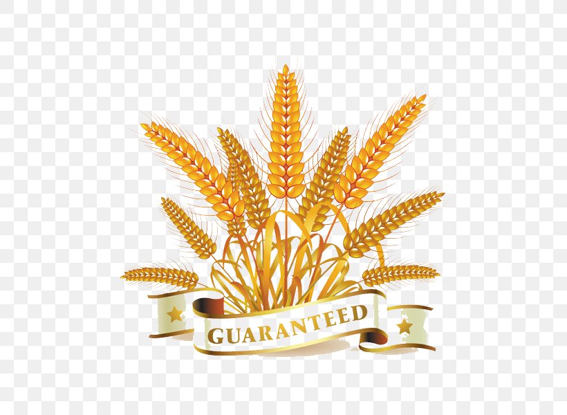 Wheat Download Clip Art, PNG, 600x600px, Wheat, Commodity, Ear, Free Content Download Free