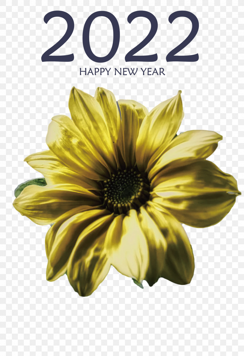 2022 Happy New Year 2022 New Year 2022, PNG, 2058x3000px, Chrysanthemum, Common Sunflower, Cut Flowers, Flower, Meter Download Free