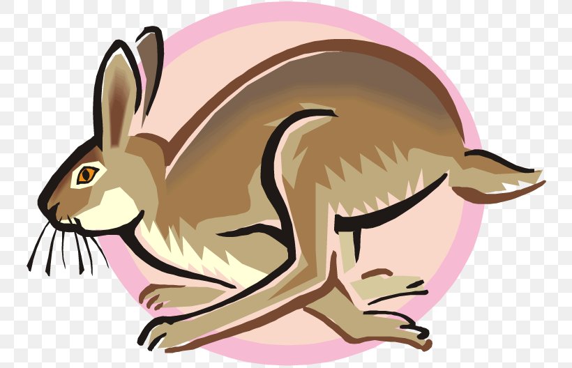 Arctic Hare Snowshoe Hare Rabbit Clip Art, PNG, 750x528px, Arctic Hare, Carnivoran, Cartoon, Cottontail Rabbit, Domestic Rabbit Download Free