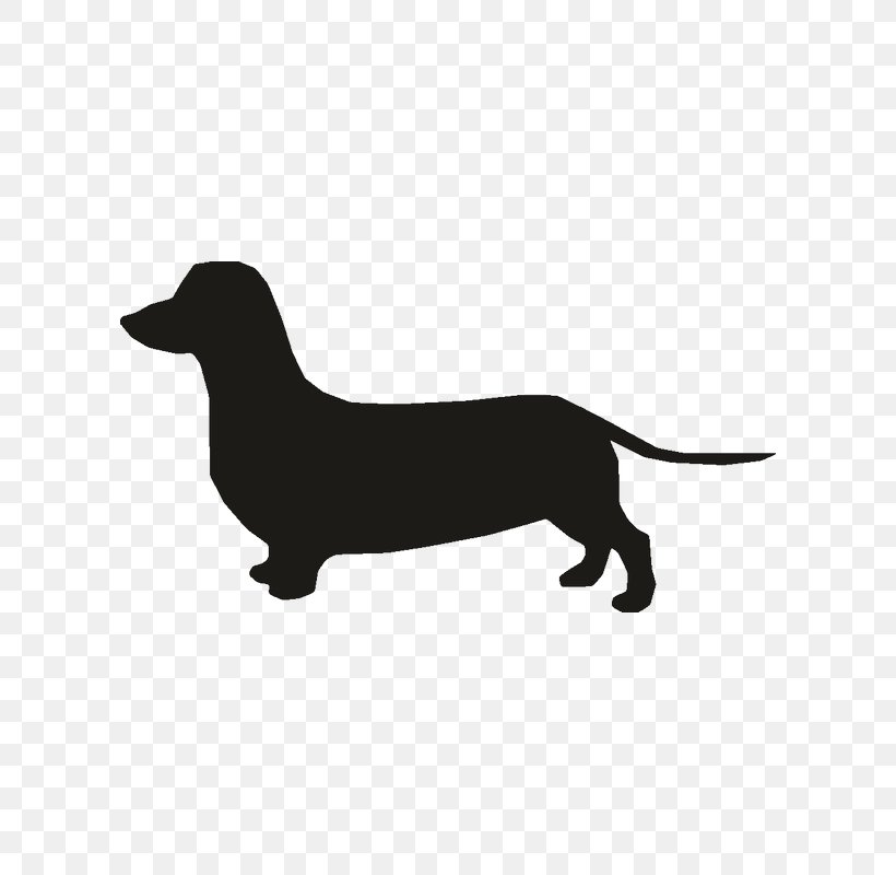 Dachshund Wallpaper Wall Decal Room, PNG, 800x800px, Dachshund, Black, Black And White, Building, Carnivoran Download Free