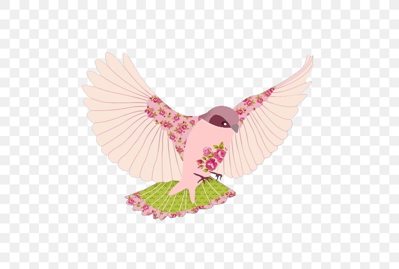 Pink Birds Owl Drawing Illustration, PNG, 554x554px, Bird, Beak, Bird Of Prey, Cartoon, Drawing Download Free