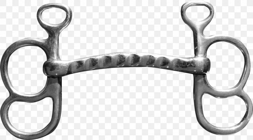 Snaffle Bit Horse Sweet Iron Curb Chain, PNG, 1024x569px, Bit, Body Jewelry, Chain, Curb Chain, Gourmette Download Free