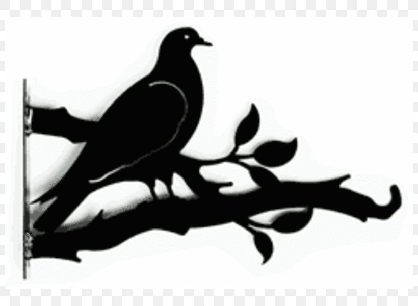 Beak Bird Hanging Basket Silhouette White, PNG, 800x600px, Beak, Bird, Black And White, Branch, Crocodilla Ltd Download Free