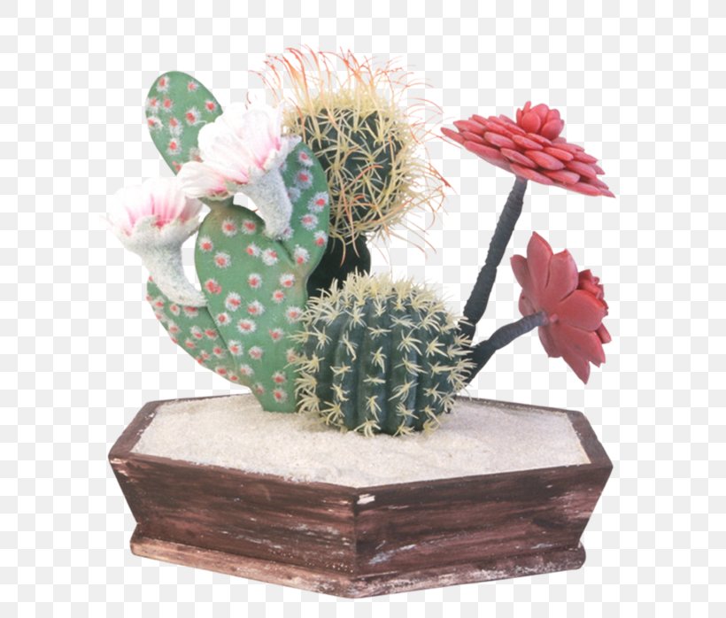 Cactus Succulent Plant Plants Barbary Fig Flowerpot, PNG, 700x698px, Cactus, Barbary Fig, Bonsai, Botany, Caryophyllales Download Free