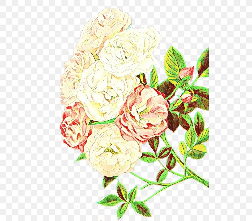 Pink Flowers Background, PNG, 538x720px, Garden Roses, Blume, Bouquet, Cabbage Rose, Camellia Download Free