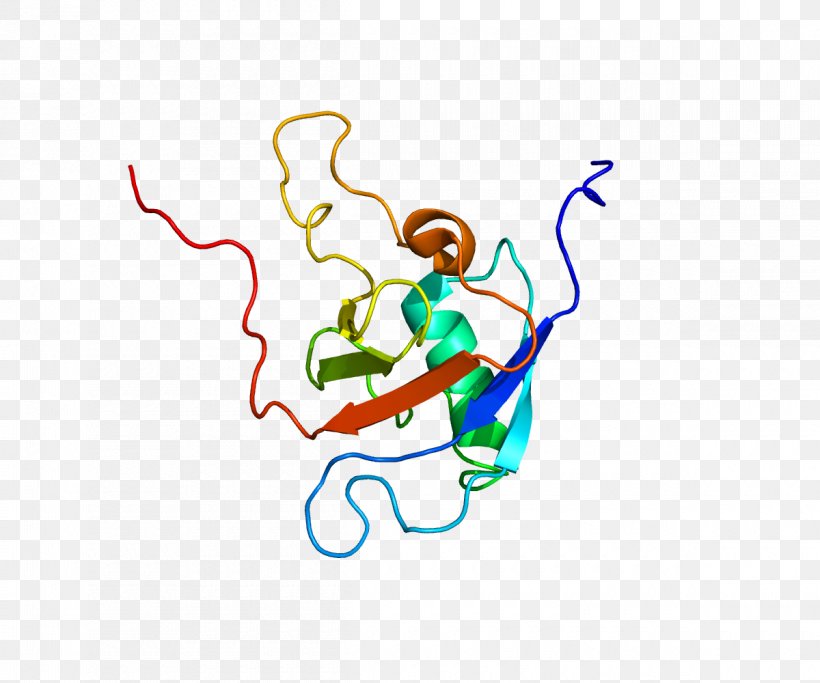 PLXNB1 Semaphorin Plexin Sema Domain Transmembrane Protein, PNG, 1200x1000px, Watercolor, Cartoon, Flower, Frame, Heart Download Free