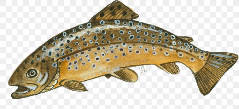 Salmon Coastal Cutthroat Trout Brown Trout Fish Products, PNG, 1582x720px, Salmon, Animal, Animal Figure, Bony Fish, Brown Trout Download Free