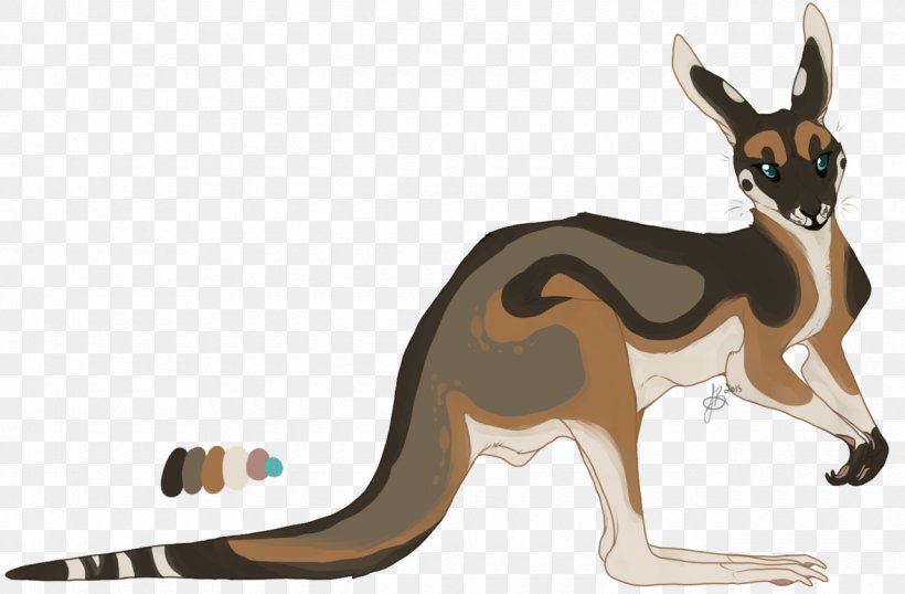 Kangaroo Dog Cartoon Canidae, PNG, 1280x840px, Kangaroo, Canidae, Carnivoran, Cartoon, Dog Download Free