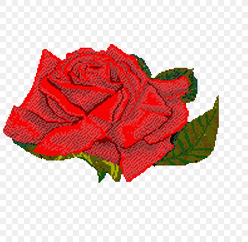 Rose Animation Flower, PNG, 800x800px, Rose, Animation, Blue Rose, Color,  Cut Flowers Download Free