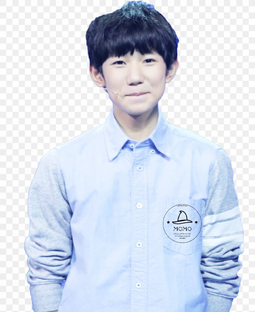 Roy Wang TFBoys Cause Of You Dress Shirt T-shirt, PNG, 980x1200px, Watercolor, Cartoon, Flower, Frame, Heart Download Free