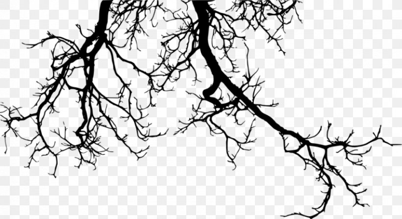 Branch Tree Clip Art, PNG, 850x465px, Branch, Artwork, Black And White, Drawing, Flora Download Free