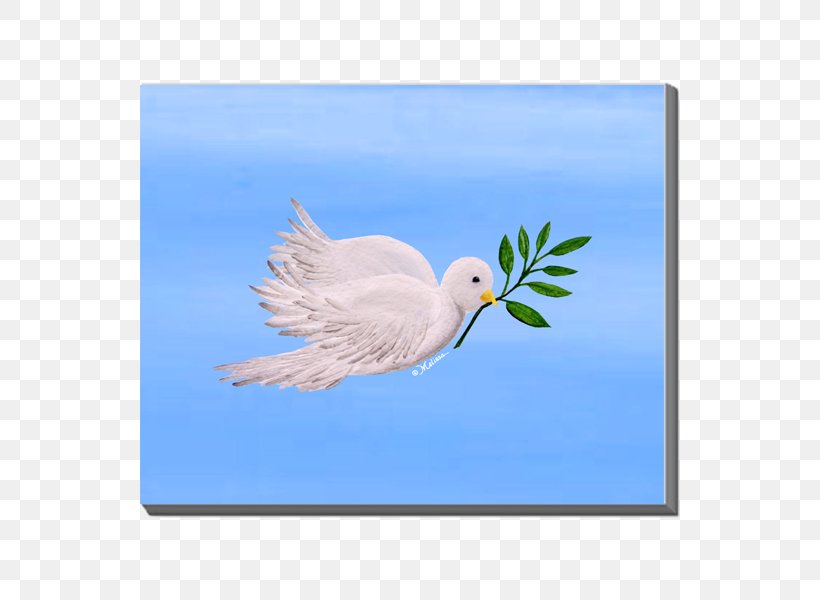 Canvas Gulls Art Bird Cygnini, PNG, 600x600px, Canvas, Anatidae, Art, Beak, Bird Download Free