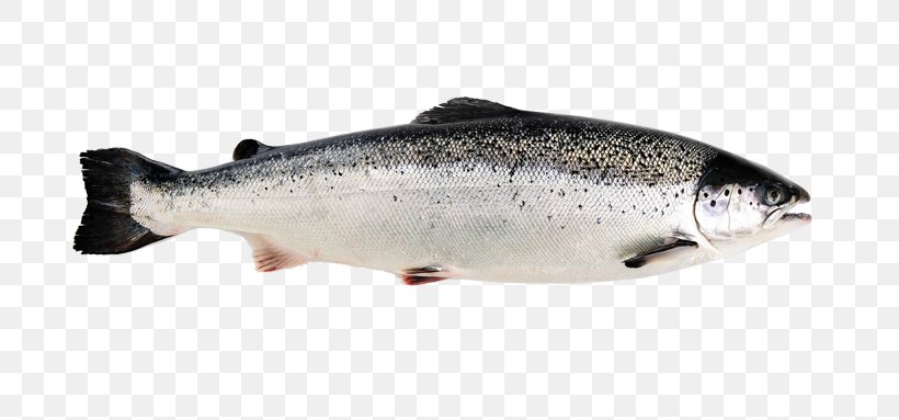 Norwegian Cuisine Norway Salmon As Food Atlantic Salmon, PNG, 700x383px ...