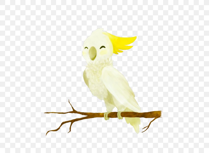 Owl Feather Beak Parakeet Pet, PNG, 500x600px, Owl, Beak, Bird, Bird Of Prey, Branch Download Free