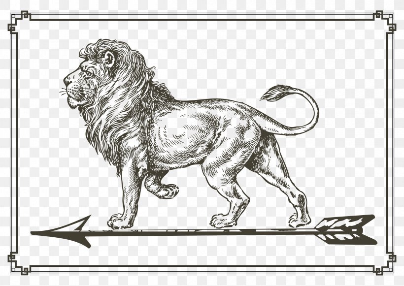 Sea Lion Lionhead Rabbit Clip Art, PNG, 2400x1703px, Lion, Art, Big Cat, Big Cats, Black And White Download Free