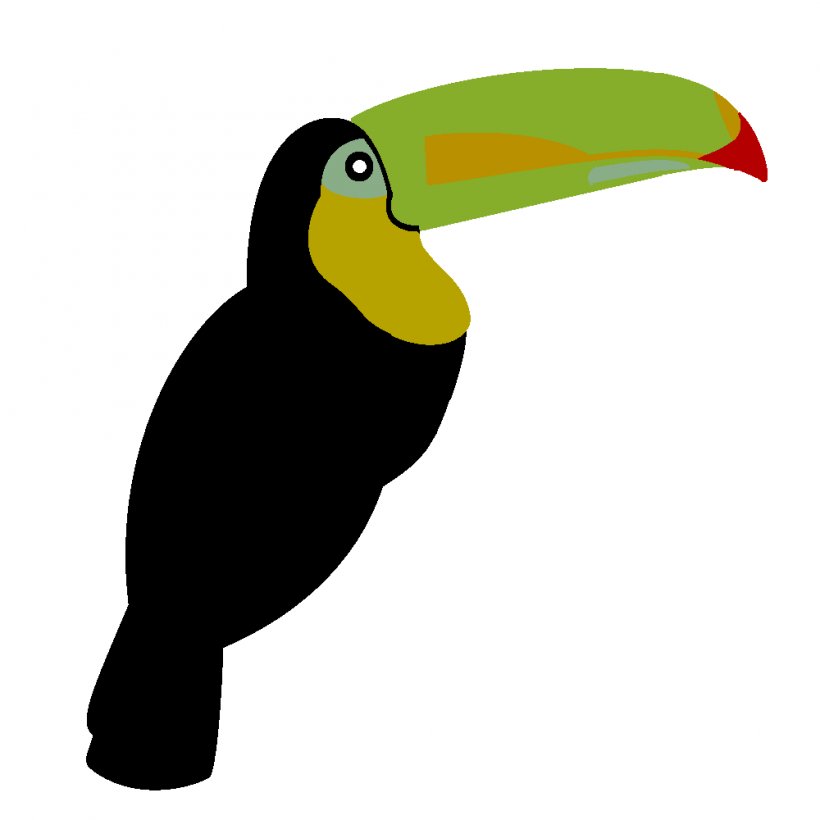 Keel-billed Toucan Common Ostrich Bird Toco Toucan Penguin, PNG, 1000x1000px, Keelbilled Toucan, Beak, Bird, Common Ostrich, Drawing Download Free