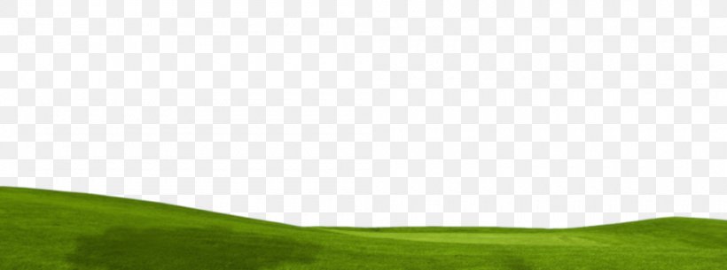 Lawn Desktop Wallpaper Grassland Computer Grasses, PNG, 1000x372px, Lawn, Computer, Family, Field, Grass Download Free