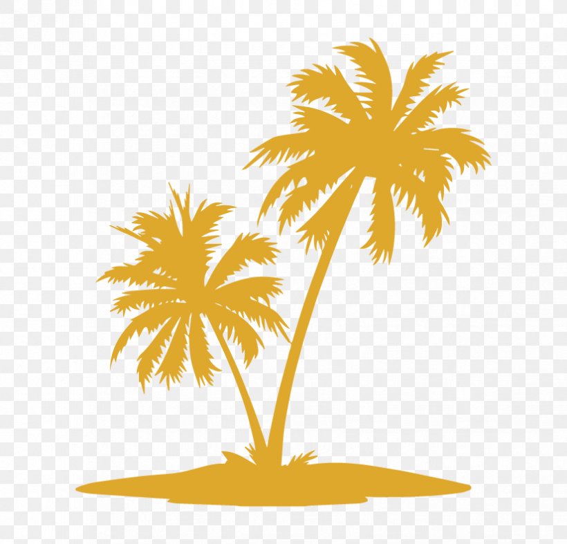 Palm Trees Vector Graphics Clip Art Illustration Image, PNG, 825x792px, Palm Trees, Arecales, Coconut, Date Palm, Drawing Download Free