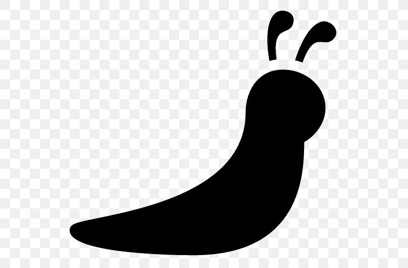 Slug Snail Clip Art, PNG, 540x540px, Slug, Animal, Artwork, Black, Black And White Download Free