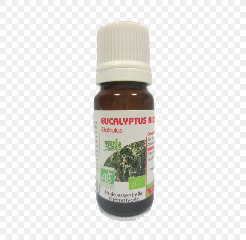 Eucalyptus Globulus Eucalyptus Radiata Eucalyptus Oil Essential Oil Breathing, PNG, 800x800px, Eucalyptus Globulus, Breathing, Breathing Problems, Common Cold, Cough Download Free