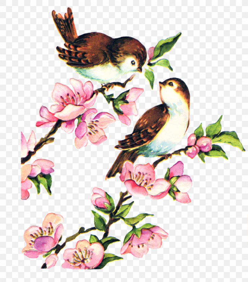 Bird YouTube Clip Art, PNG, 1827x2079px, Bird, Art, Beak, Blossom, Bluebird Download Free