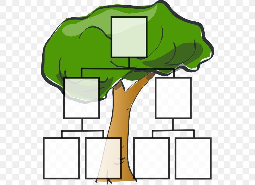 Family Tree Genealogy Clip Art, PNG, 558x596px, Family Tree, Ancestor, Area, Artwork, Chart Download Free