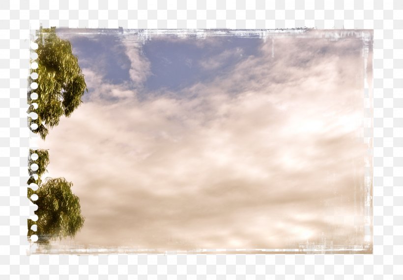 Picture Frames Stock Photography Tree, PNG, 1600x1115px, Picture Frames, Border, Cloud, Grass, Meteorological Phenomenon Download Free
