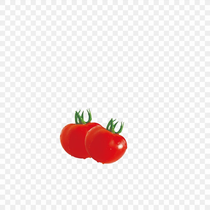 Red Tomato Vegetable, PNG, 3543x3543px, Red, Cherry, Drawing, Food, Fruit Download Free