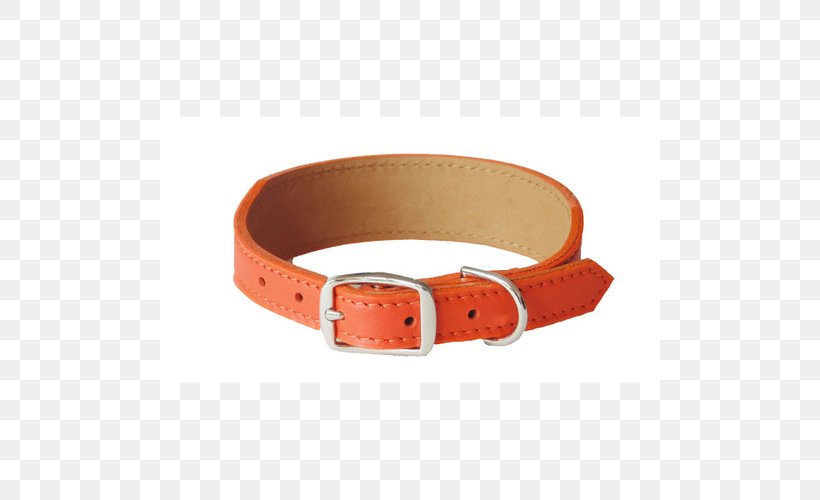 Belt Buckles Belt Buckles Strap, PNG, 500x500px, Belt, Belt Buckle, Belt Buckles, Buckle, Collar Download Free