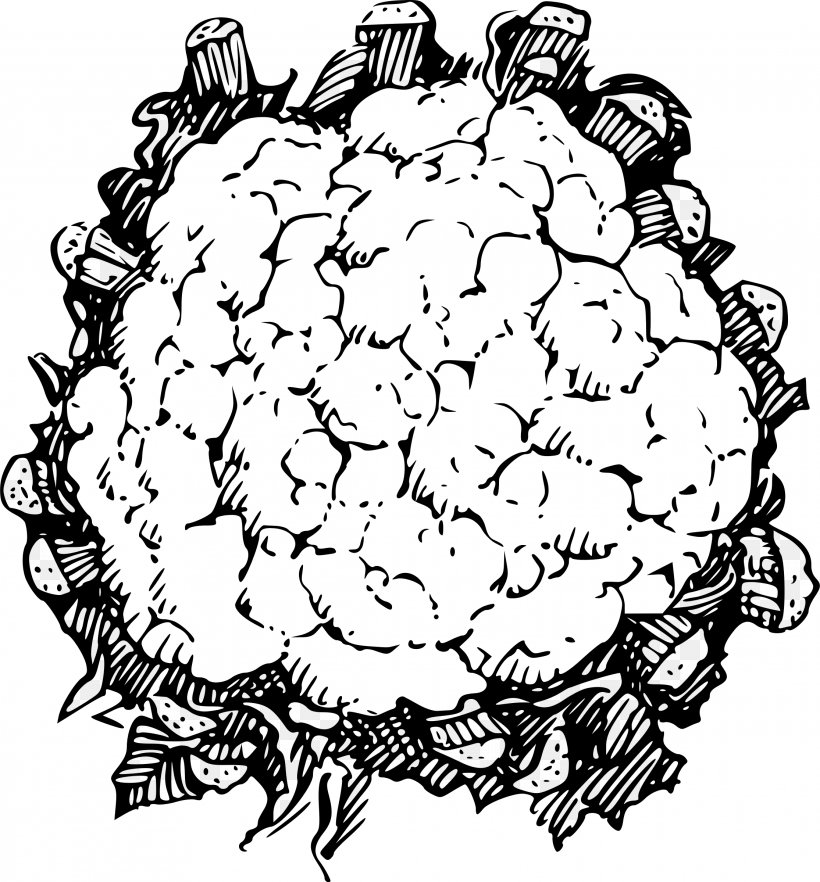 Cauliflower Line Art Vegetable Clip Art, PNG, 2230x2400px, Cauliflower, Area, Artwork, Black And White, Drawing Download Free