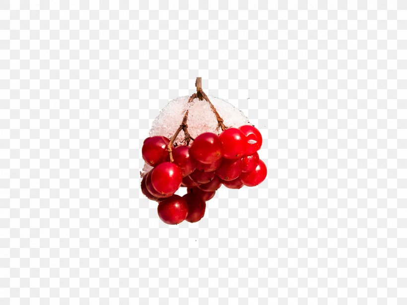 Cranberry Cherry Body Piercing Jewellery Auglis, PNG, 1200x900px, Cranberry, Auglis, Berry, Body Jewelry, Body Piercing Jewellery Download Free