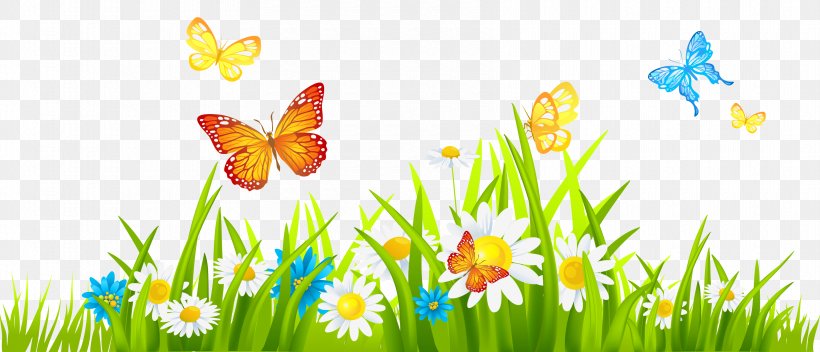 Flower Free Content Spring Clip Art, PNG, 3400x1463px, Flower, Blog, Butterfly, Color Garden, Flower Garden Download Free