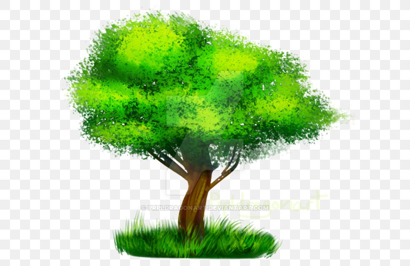 Tree, PNG, 600x533px, Tree, Grass, Organism, Plant Download Free