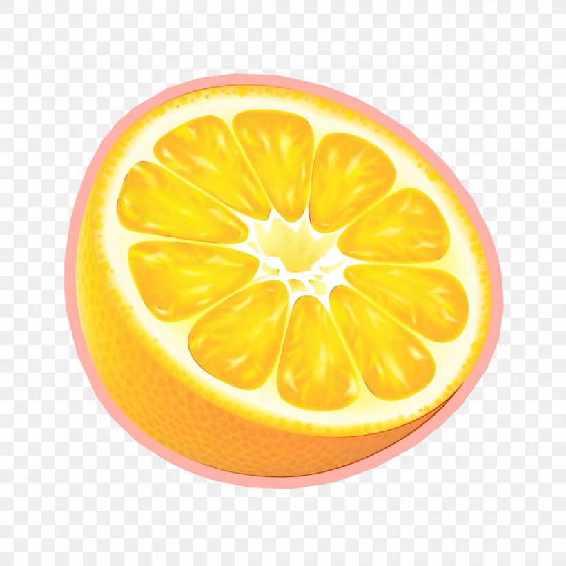 Lemon Drawing, PNG, 2289x2289px, Watercolor, Bitter Orange, Citric Acid, Citron, Citrus Download Free