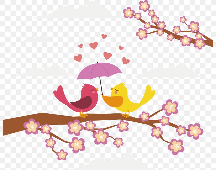 Lovebird Euclidean Vector, PNG, 800x646px, Watercolor, Cartoon, Flower, Frame, Heart Download Free