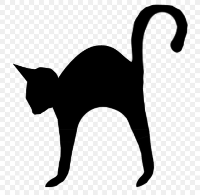 Black Cat Kitten Domestic Short-haired Cat Still Life: Pink Roses, PNG, 758x800px, Black Cat, Black, Blackandwhite, Carnivore, Cat Download Free