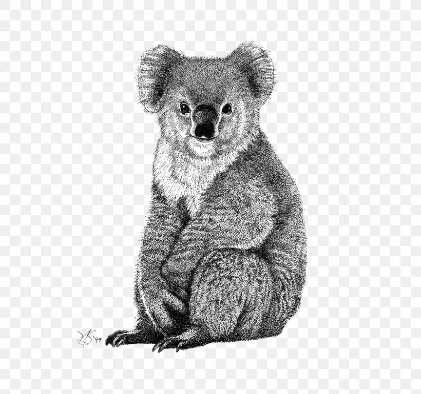 Koby El Koala/Koby The Koala Bear Drawing, PNG, 1600x1502px, Watercolor, Cartoon, Flower, Frame, Heart Download Free