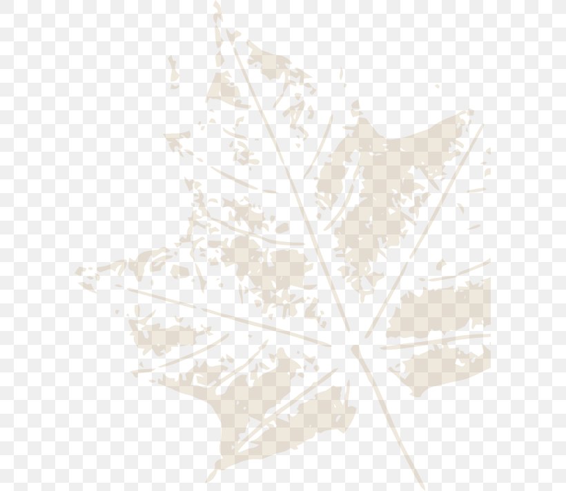 Line Angle Tree Leaf Beige, PNG, 603x712px, Tree, Beige, Leaf, Minute, Plant Download Free