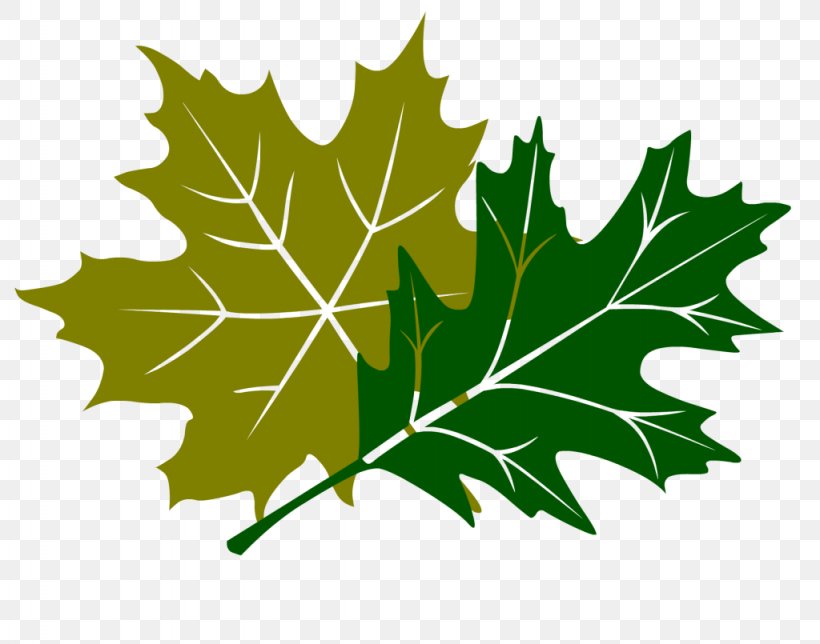 Oak Tree Leaves, PNG, 1024x805px, Autumn, Art, Autumn Leaf Color, Autumn Leaves, Black Maple Download Free