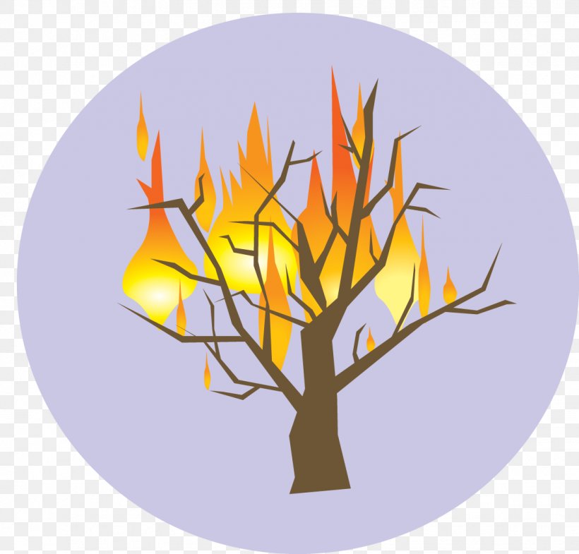 Burning Bush Tree Of Jesse Symbol God Presbyterianism, PNG, 1131x1083px, Burning Bush, Bramble, Brambles, Branch, Fire Download Free