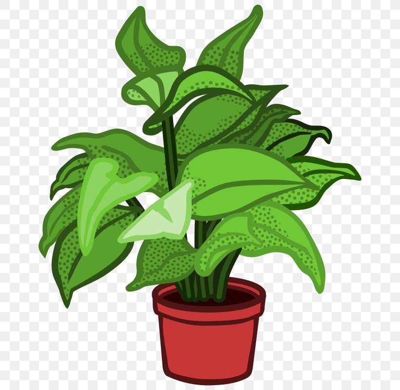 Plant Clip Art, PNG, 800x800px, Plant, Art, Crop, Drawing, Flower Download Free