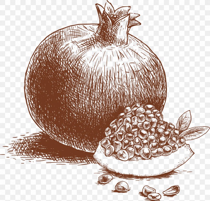 Pomegranate Juice Drawing Fruit, PNG, 1687x1614px, Pomegranate Juice, Auglis, Drawing, Food, Fruit Download Free